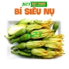 Hạt giống bí nụ ăn non lai - Giống bí siêu nụ chất lượng, giá 15.400 VND, giảm giá, mua ngay Thegioihatgiong