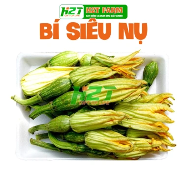 Hạt giống bí nụ ăn non lai - Giống bí siêu nụ chất lượng, giá 15.400 VND, giảm giá, mua ngay Thegioihatgiong