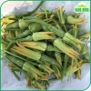 Hạt giống bí nụ ăn non lai - Giống bí siêu nụ chất lượng, giá 15.400 VND, giảm giá, mua ngay Thegioihatgiong 4