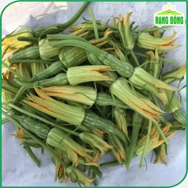 Hạt giống bí nụ ăn non lai - Giống bí siêu nụ chất lượng, giá 15.400 VND, giảm giá, mua ngay Thegioihatgiong