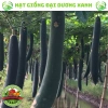 Hạt giống bí sặt, bí đao, bí xanh 15 hạt - Tặng phân bón - Giảm giá 9.600₫ 2