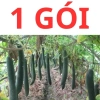 Hạt giống bí sặt, bí đao, bí xanh 15 hạt - Tặng phân bón - Giảm giá 9.600₫ 4