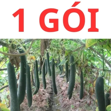 Hạt giống bí sặt, bí đao, bí xanh 15 hạt - Tặng phân bón - Giảm giá 9.600₫ 4