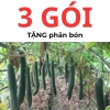 Hạt giống bí sặt, bí đao, bí xanh 15 hạt - Tặng phân bón - Giảm giá 9.600₫ 5
