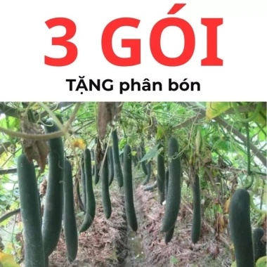 Hạt giống bí sặt, bí đao, bí xanh 15 hạt - Tặng phân bón - Giảm giá 9.600₫ 5