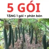 Hạt giống bí sặt, bí đao, bí xanh 15 hạt - Tặng phân bón - Giảm giá 9.600₫ 6