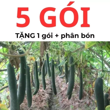 Hạt giống bí sặt, bí đao, bí xanh 15 hạt - Tặng phân bón - Giảm giá 9.600₫ 6