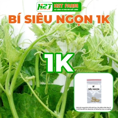 Hạt giống Bí Siêu Ngọn nhập khẩu giảm giá Giá 14.400₫ năng suất cao trồng nhanh