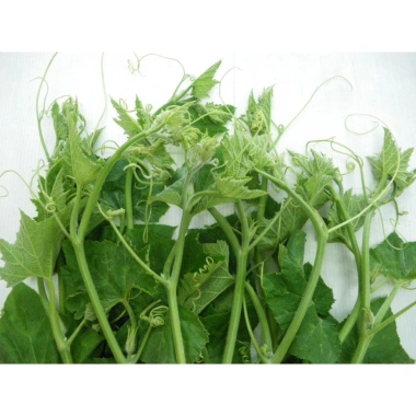 Hạt giống Bí Siêu Ngọn nhập khẩu giảm giá Giá 14.400₫ năng suất cao trồng nhanh