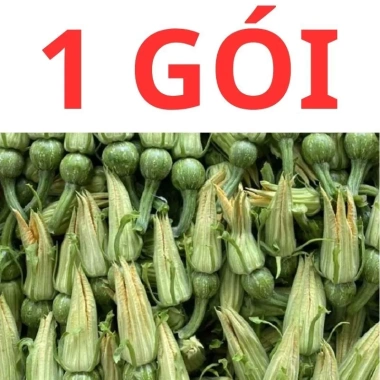 Hạt giống bí siêu nụ 15H – Tặng kèm kích mầm & phân bón, giá ưu đãi 9.800đ 3