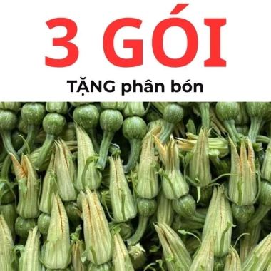 Hạt giống bí siêu nụ 15H – Tặng kèm kích mầm & phân bón, giá ưu đãi 9.800đ 4