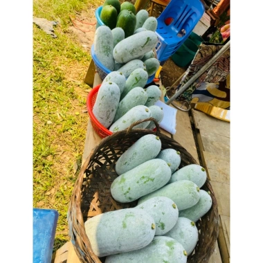 Hạt giống bí xanh thơm Bắc Kạn (bí phấn) - Gói 10 hạt, năng suất cao, 13,900 VND 2