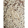 Hạt giống bí xanh thơm Bắc Kạn (bí phấn) - Gói 10 hạt, năng suất cao, 13,900 VND 4