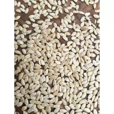 Hạt giống bí xanh thơm Bắc Kạn (bí phấn) - Gói 10 hạt, năng suất cao, 13,900 VND 4