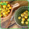 Hạt giống Cà Chua Cherry Ngọt Vàng - Giá 13.860đ Giảm giá so với 18.018đ hatgiongnhapkhau 6