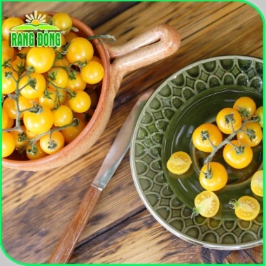 Hạt giống Cà Chua Cherry Ngọt Vàng - Giá 13.860đ Giảm giá so với 18.018đ hatgiongnhapkhau