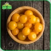 Hạt giống Cà Chua Cherry Ngọt Vàng - Giá 13.860đ Giảm giá so với 18.018đ hatgiongnhapkhau 7