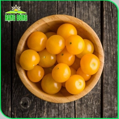 Hạt giống Cà Chua Cherry Ngọt Vàng - Giá 13.860đ Giảm giá so với 18.018đ hatgiongnhapkhau