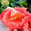 Hạt giống cà chua chịu nhiệt giá 15.000đ năng suất cao kháng bệnh trồng quanh năm 7