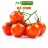 Hạt Giống Cà Chua Nhập Khẩu Giá Siêu Ưu Đãi 15.000 VNĐ - Năng Suất Cao, Độ Bền Vững