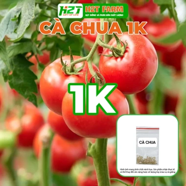 Hạt Giống Cà Chua Nhập Khẩu Giá Siêu Ưu Đãi 15.000 VNĐ - Năng Suất Cao, Độ Bền Vững 2