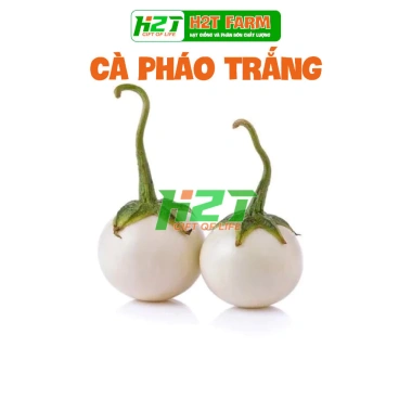 Hạt Giống Cà Pháo Trắng - Giá 8.596 VNĐ (Giảm từ 10.659) | thegioihatgiong