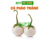 Hạt Giống Cà Pháo Trắng - Giá 8.596 VNĐ (Giảm từ 10.659) | thegioihatgiong 2