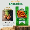 Hạt giống cà rốt tròn dễ chăm sóc, trồng quanh năm - Giá 14.000đ Thegioihatgiong 2