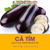 Hạt Giống Cà Tím Dễ Trồng, Năng Suất Cao - Giá Ưu Đãi 14.000đ, Chất Lượng Nhập Khẩu 2