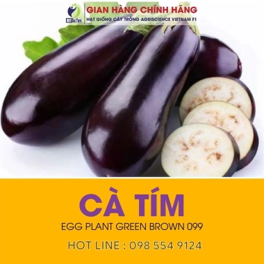Hạt Giống Cà Tím Dễ Trồng, Năng Suất Cao - Giá Ưu Đãi 14.000đ, Chất Lượng Nhập Khẩu 2