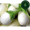 Hạt giống cà trứng ngỗng nhập khẩu - Giống mạnh, năng suất cao, giá 15.000₫ 4