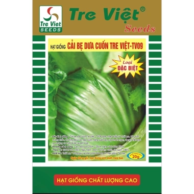 Hạt giống cải bẹ dưa cuốn Tre Việt TVO9 – Cây sinh trưởng khỏe, năng suất cao, giá 7.000 VND 2