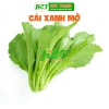 Hạt Giống Cải Bẹ Xanh Mỡ Dễ Trồng - Năng Suất Cao, Giá 15.000đ | thegioihatgiong