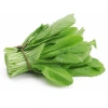 Hạt Giống Cải Bẹ Xanh Mỡ Dễ Trồng - Năng Suất Cao, Giá 15.000đ | thegioihatgiong 4