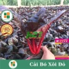 Hạt giống cải bó xôi đỏ hatgiongnhapkhau - giá chỉ 17.860₫, trồng rau xanh nhanh