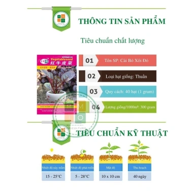 Hạt giống cải bó xôi đỏ hatgiongnhapkhau - giá chỉ 17.860₫, trồng rau xanh nhanh