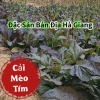 Hạt Giống Cải Mèo Tím Đặc Sản Bản Địa 5gr - Giá ưu đãi 16.000₫, tươi ngon, sinh trưởng nhanh 2