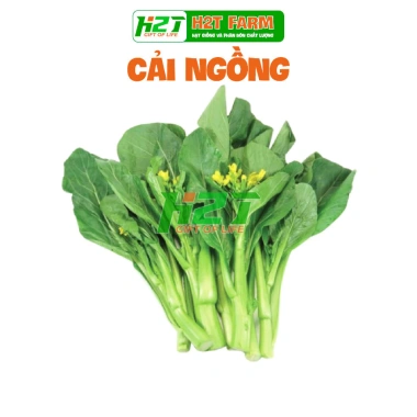 Hạt giống Cải Ngọt Bông (Cải Ngồng) trồng quanh năm - Giá ưu đãi 14.000 VNĐ