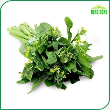 Hạt giống Cải Ngọt Bông (Cải Ngồng) trồng quanh năm - Giá ưu đãi 14.000 VNĐ