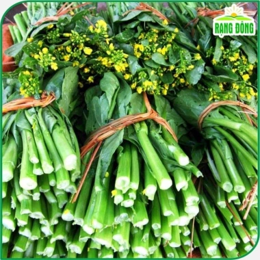 Hạt giống Cải Ngọt Bông (Cải Ngồng) trồng quanh năm - Giá ưu đãi 14.000 VNĐ
