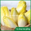 Hạt giống cải oro, rau diếp xoắn, đọt chuối, cải chicory - Giá 22.000 VND (trước 28.600 VND) - hatgiongnhapkhau 6