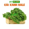 Hạt giống Cải Xoăn Kale kháng bệnh, giàu dinh dưỡng - Giá 13.860đ giảm tới 30%