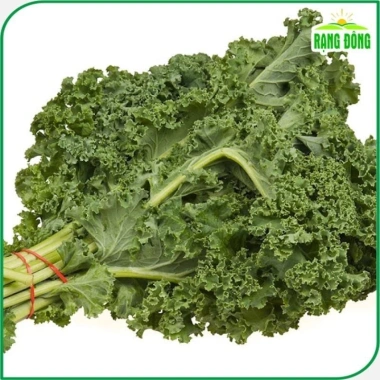 Hạt giống Cải Xoăn Kale kháng bệnh, giàu dinh dưỡng - Giá 13.860đ giảm tới 30%