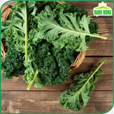 Hạt giống Cải Xoăn Kale kháng bệnh, giàu dinh dưỡng - Giá 13.860đ giảm tới 30% 3 Hạt giống Cải Xoăn Kale kháng bệnh, giàu dinh dưỡng - Giá 13.860đ giảm tới 30% 3