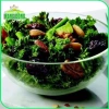 Hạt giống Cải Xoăn Kale kháng bệnh, giàu dinh dưỡng - Giá 13.860đ giảm tới 30% 6