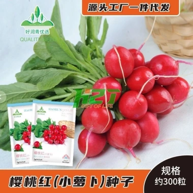 Hạt Giống Củ Cải Cherry Anh Đào gói mini - H2t Farm, năng suất cao, giá chỉ 30.000đ