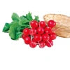 Hạt Giống Củ Cải Cherry Anh Đào gói mini - H2t Farm, năng suất cao, giá chỉ 30.000đ 2