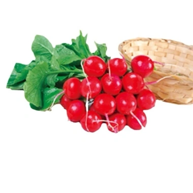 Hạt Giống Củ Cải Cherry Anh Đào gói mini - H2t Farm, năng suất cao, giá chỉ 30.000đ