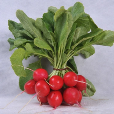 Hạt Giống Củ Cải Cherry Anh Đào gói mini - H2t Farm, năng suất cao, giá chỉ 30.000đ