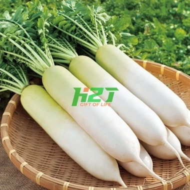 Hạt Giống Củ Cải Trắng 10gr Nhập Khẩu - Giá 15.000₫, Chất Lượng Cao